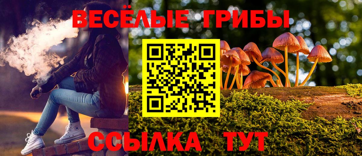 Лыткарино  Псилоцибиновые грибы Psilocybine cubensis  Вход с VPN 