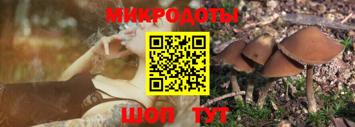 Псилоцибиновые грибы мицелий Лыткарино